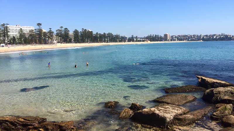 Hire a Stand Up Paddle Board and explore Australia’s iconic Manly Beach and beyond!
